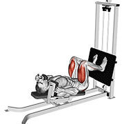 sled lying squat animation