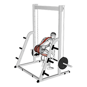 smith deadlift animation