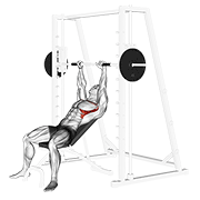 smith incline shoulder raises animation
