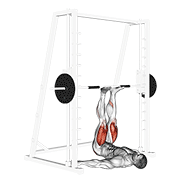 smith leg press animation