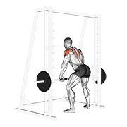 smith rear delt row animation