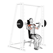 smith shoulder press animation