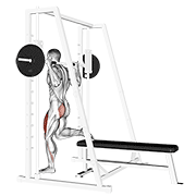 smith single leg split squat animation