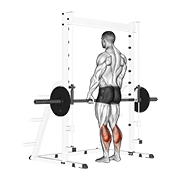 smith standing leg calf raise animation
