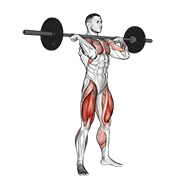 squat jerk animation
