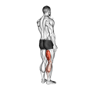 standing single leg curl animation