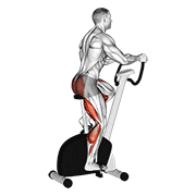 stationary bike walk animation