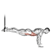 suspended reverse crunch animation
