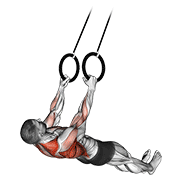 suspended row animation