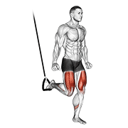 suspended split squat animation