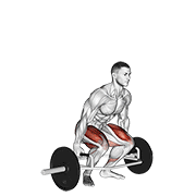 trap bar deadlift animation