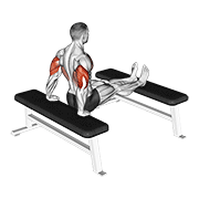 triceps dip (bench leg) animation