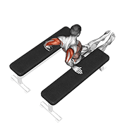 triceps dip (between benches) animation