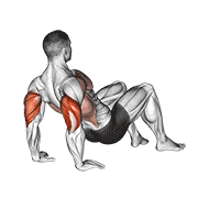 triceps dips floor animation