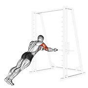 triceps press animation