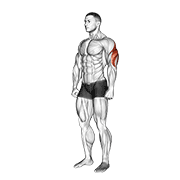 triceps stretch animation