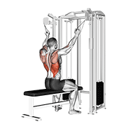 twin handle parallel grip lat pulldown animation