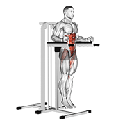 vertical leg raise (on parallel bars) animation