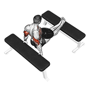 weighted bench dip animation