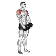 weighted front raise animation