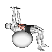 weighted overhead crunch (on stability ball) animation
