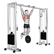 weighted pull-up animation