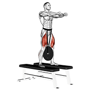 weighted squat animation