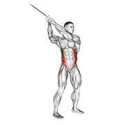 cable twist (up-down) animation