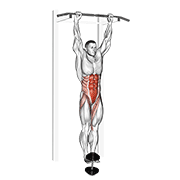 weighted hanging leg-hip raise animation