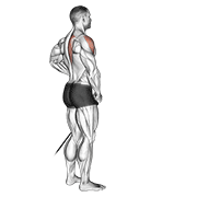 band front lateral raise animation