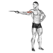 band one arm overhead biceps curl animation