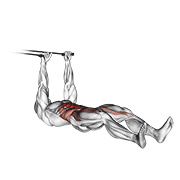 band push sit-up animation