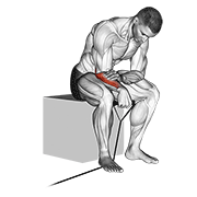 band reverse wrist curl animation