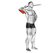 band side triceps extension animation