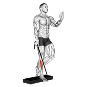 band single leg reverse calf raise animation