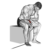 band wrist curl animation