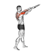band standing rear delt row animation