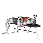 band bench press animation
