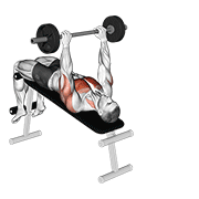 barbell decline pullover animation
