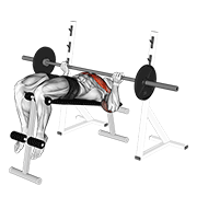 barbell reverse grip decline bench press animation