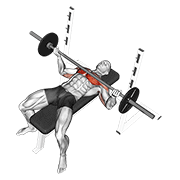 barbell wide reverse grip bench press animation