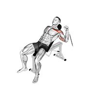 cable one arm incline press animation