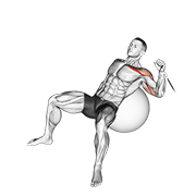 cable one arm incline press on exercise ball animation