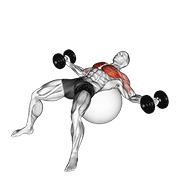 dumbbell fly on exercise ball animation