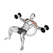 dumbbell incline fly on exercise ball animation