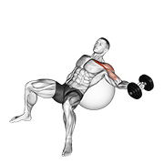 dumbbell incline one arm fly on exercise ball animation