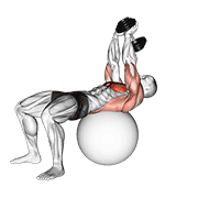 dumbbell lying pullover on exercise ball animation