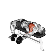 dumbbell one arm bench fly animation