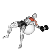 dumbbell one arm chest fly on exercise ball animation