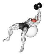 dumbbell one arm fly on exercise ball animation